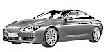 BMW F06 P3005 Fault Code